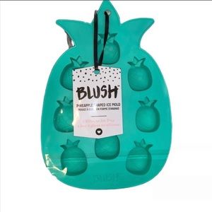 NWT Pineapple Shaped Ice Mold